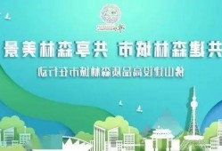 佛山爆料新闻最新消息