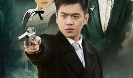 黑狐电视剧在线观看,揭秘神秘特工的暗战风云