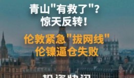 青山最新爆料新闻报道