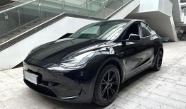 特斯拉陶琳最新爆料