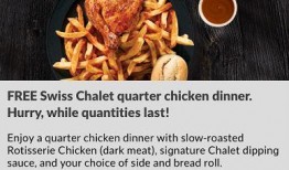 烤鸡爆料视频大全下载,美味瞬间，一网打尽