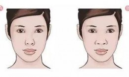 鼻子整形爆料视频大全最新,最新爆料视频大全大揭秘