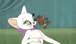 杰瑞老婆爆料完整视频播放,惊人内幕揭露真相