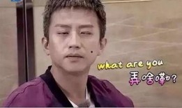 狗仔爆料邓超视频大全,狗仔爆料视频全集回顾