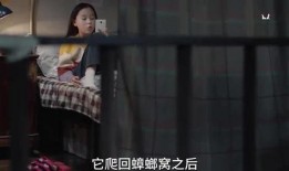 小黄被姐姐爆料视频,揭秘背后惊人真相