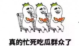 侍从的吃瓜修养免费,揭秘宫廷中的趣味生活