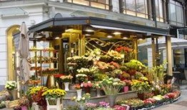 唐山花店爆料案件最新,揭开背后惊人真相