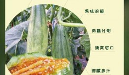 众网红吃瓜,揭秘娱乐圈幕后真相