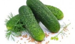 侯府吃瓜日常免费下载,免费下载，揭秘侯府吃瓜日常