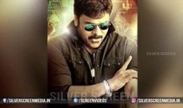 皇家小虎爆料视频大全,视频大全精彩瞬间回顾