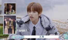 娱乐圈吃瓜关注谁