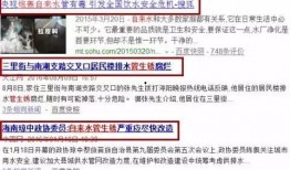 玉环最新爆料事件新闻,事件真相再掀波澜