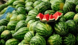 网红瓜到底在哪里吃的,揭秘瓜界网红的美食之旅