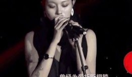 汪峰爆料前妻视频大全,揭秘娱乐圈婚姻背后的真相