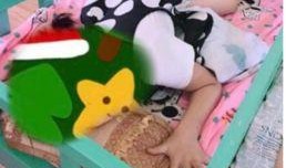 宝宝被爆料新闻怎么处理,家长应对策略全解析