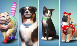 四狗视频在线观看,在线观看，畅享欢乐时光