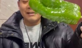 网红大咖吃瓜视频,揭秘娱乐圈幕后真相