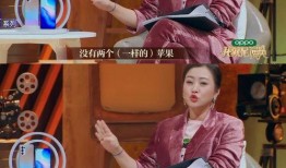 张颂文爆料李梦完整视频,真相与争议交织