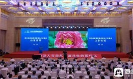 青山最新爆料新闻报道