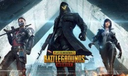 pubg国际服最新爆料,最新爆料揭示pubg国际服全新内容与玩法