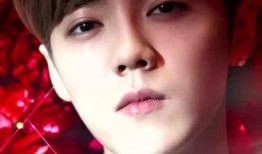 娱乐圈吃瓜猛料鹿晗小说,揭秘明星背后的秘密与激情