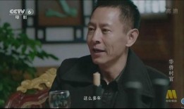 华侨村官 在线观看,海外赤子助力家乡发展纪实