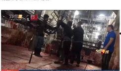 猪肉爆料视频播放大全最新,揭秘行业黑幕，带你走进真实猪肉世界