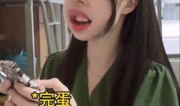 娱乐吃瓜酱19,揭秘娱乐圈背后的秘密与八卦