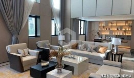 巨猫官方最新爆料视频,神秘新功能即将揭晓，带你领略科技魅力