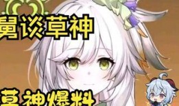 原神草神样子爆料视频,揭秘原神新角色神秘面纱