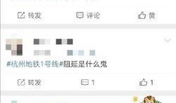 杭州1号线最新爆料视频,揭秘地铁新动向与亮点