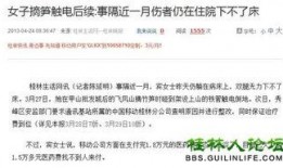 怎么向新闻网爆料,如何高效提供新闻线索