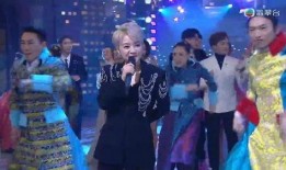 福禄寿贺台庆爆料视频大全,视频大全揭秘幕后精彩瞬间