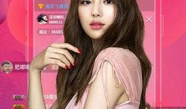 爆料美女收藏家视频下载,下载背后的故事与争议