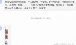 吃瓜爆料qq群免费阅读,免费阅读背后的秘密