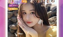 爆料美女收藏家视频下载,下载背后的故事与争议