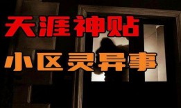 社区大事件爆料视频下载,揭秘爆料视频背后的惊人真相