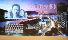 华侨村官 在线观看,海外赤子助力家乡发展纪实