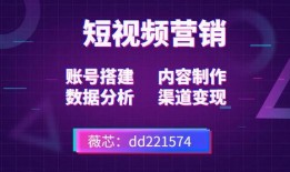 短视频创业新手热点爆料,热点爆料揭秘行业趋势与机遇