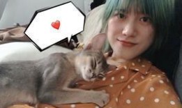 抖音小宝哥爆料视频在线观看,揭秘幕后真相，精彩瞬间不容错过！