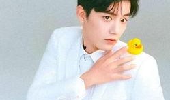 杨紫肖战的最新爆料,幕后故事与精彩瞬间大公开