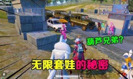 吃鸡葫芦爆料视频大全集,揭秘热门游戏幕后故事