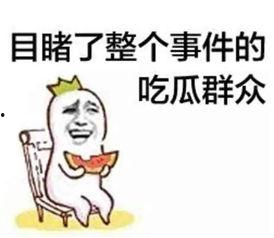 娱乐吃瓜蜀黍广告语大全