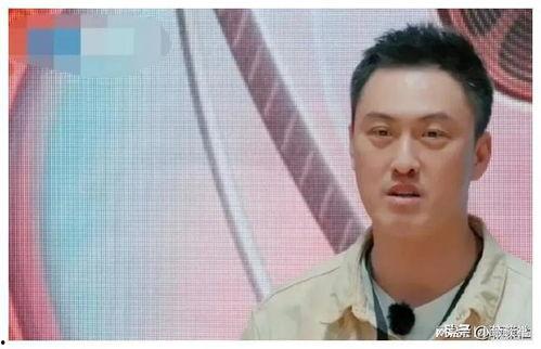 吃瓜娱乐圈最新语录图解,笑料百出,明星们“金句”连连