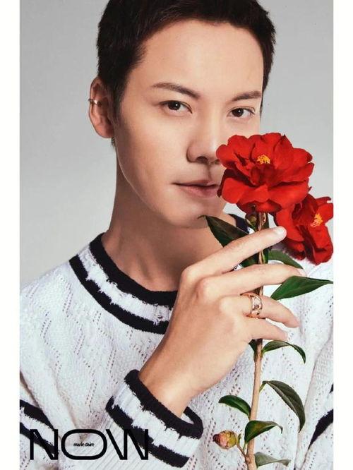 娱乐吃瓜君 景甜,娱乐圈的甜蜜瓜果,揭秘她的星途历程